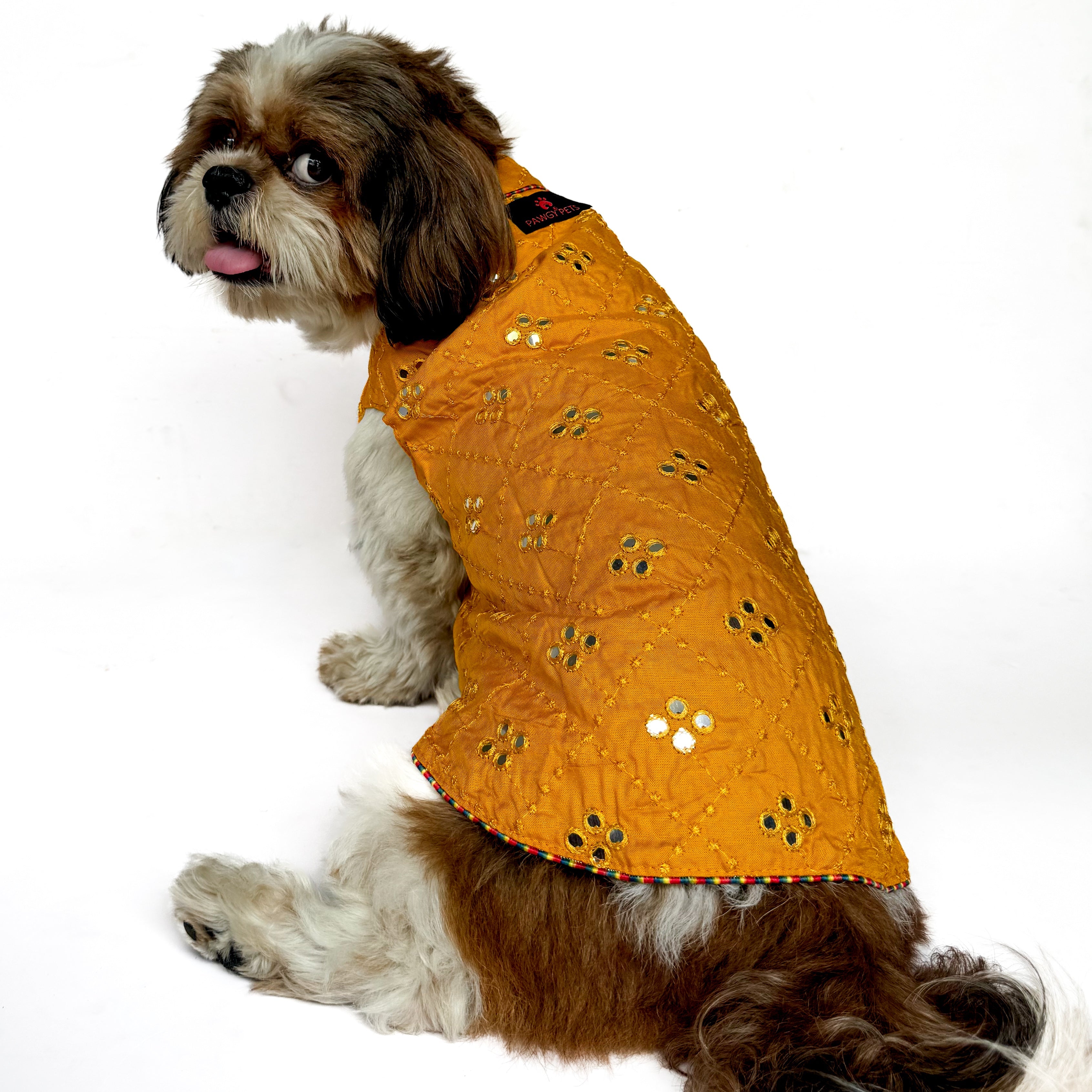 Pawgy Pets Festive Shirt Mustard Mirror Work for Dogs – image 2