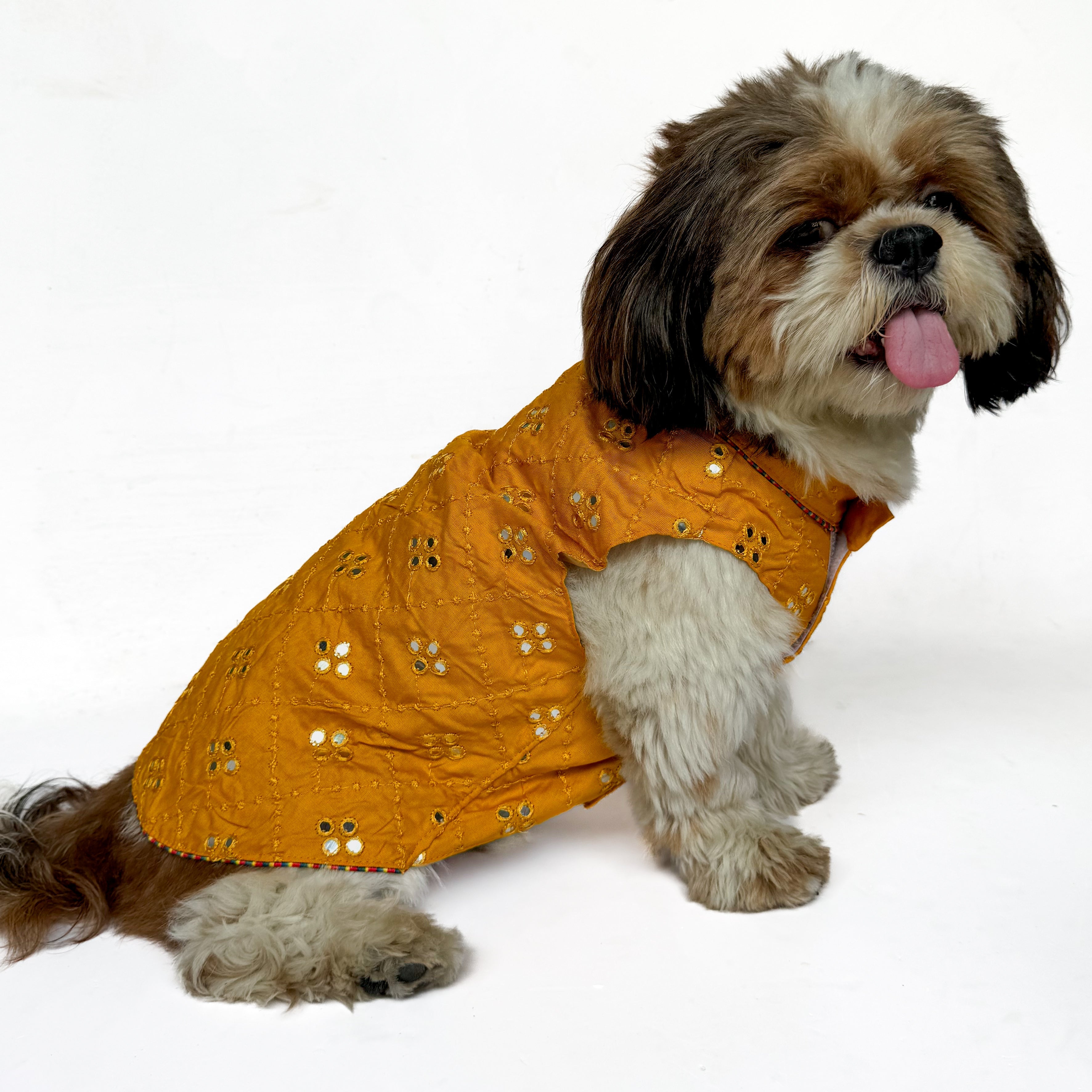 Pawgy Pets Festive Shirt Mustard Mirror Work for Dogs – image 3