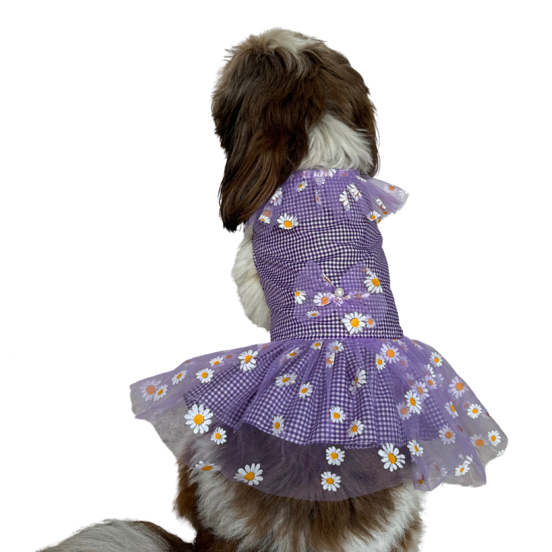 Pawgy Pets Frilly Check Purple for Dogs & Cats – image 3