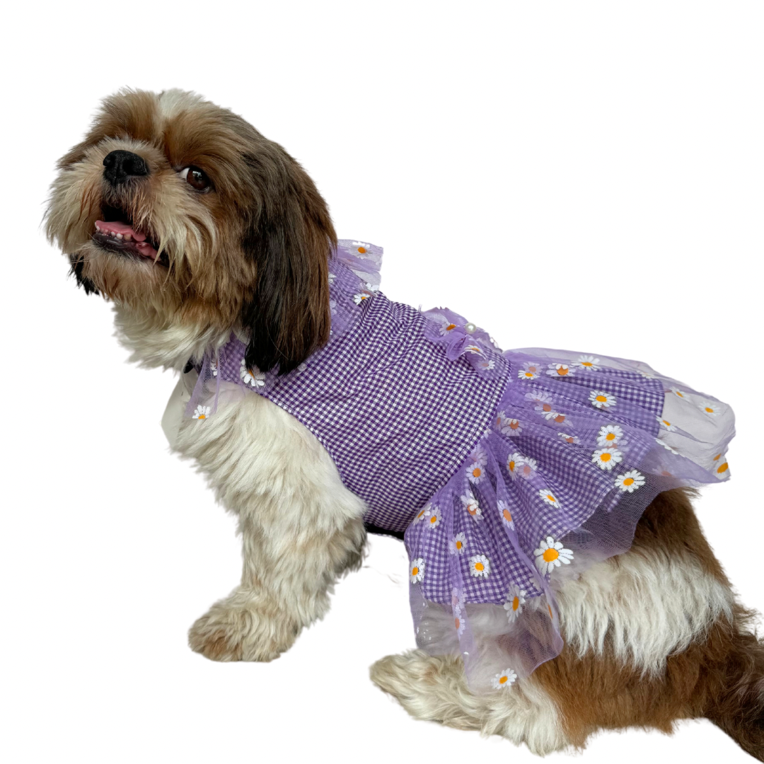 Pawgy Pets Frilly Check Purple for Dogs & Cats – image 2