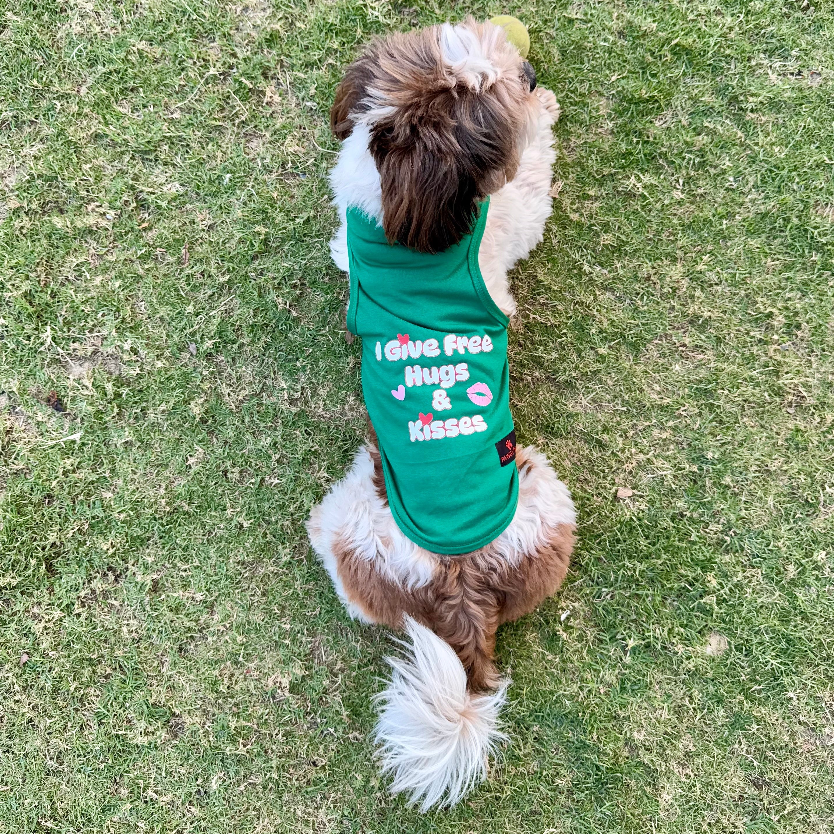 Pawgy Pets T-shirt Green “I Give Free Hugs & Kisses” for Dogs & Cats – image 2