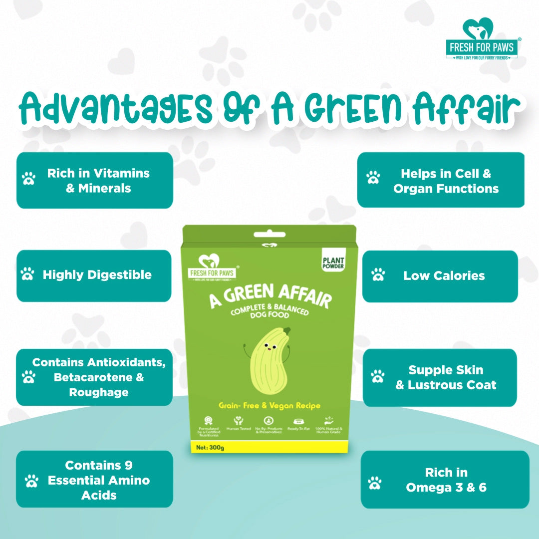 A Green Affair: Fresh Food by Fresh For Paws – image 4