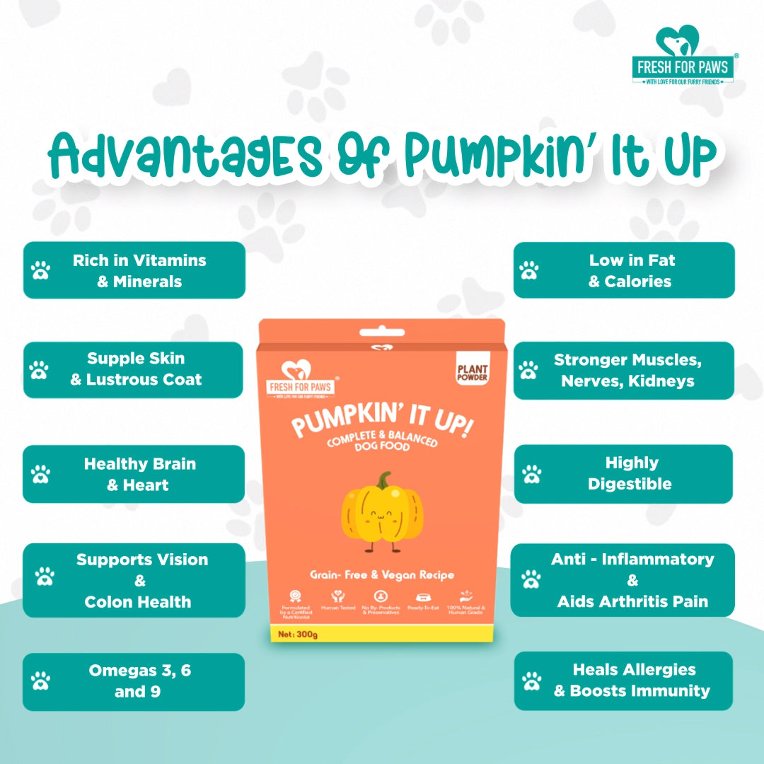 Pumpkin' It Up: Fresh Food by Fresh For Paws – image 3