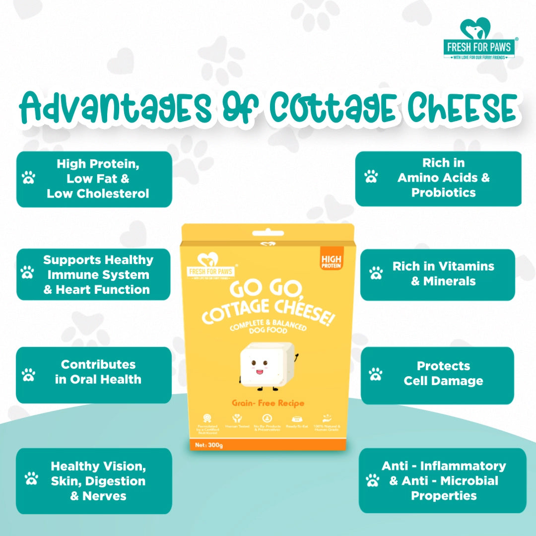 Go, Go, Cottage Cheese: Fresh Food by Fresh For Paws – image 4
