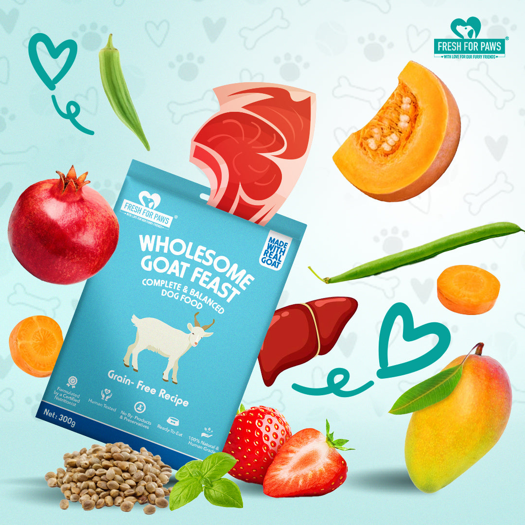Wholesome Goat Feast: Fresh Food by Fresh For Paws – image 2