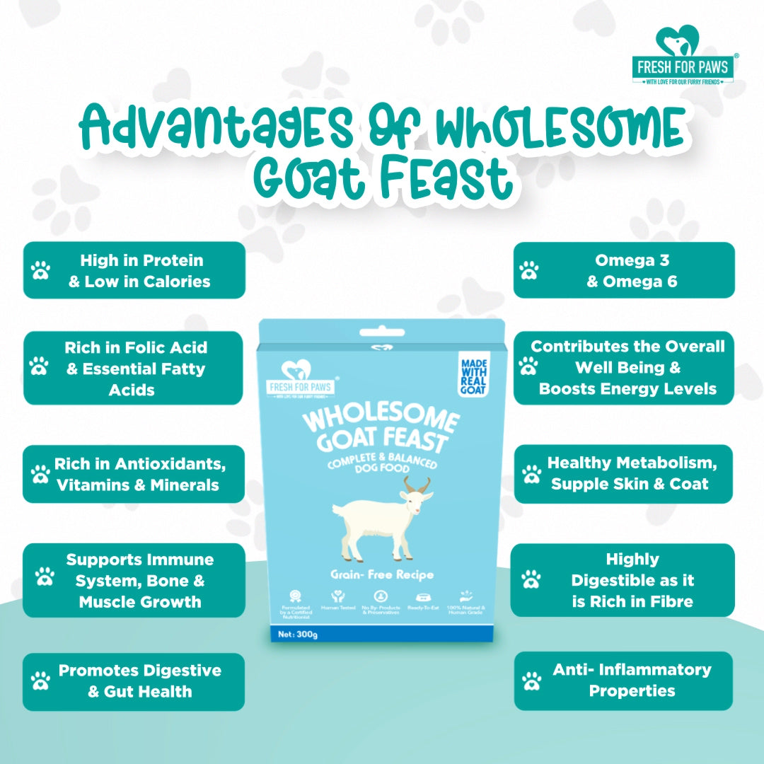 Wholesome Goat Feast: Fresh Food by Fresh For Paws – image 4
