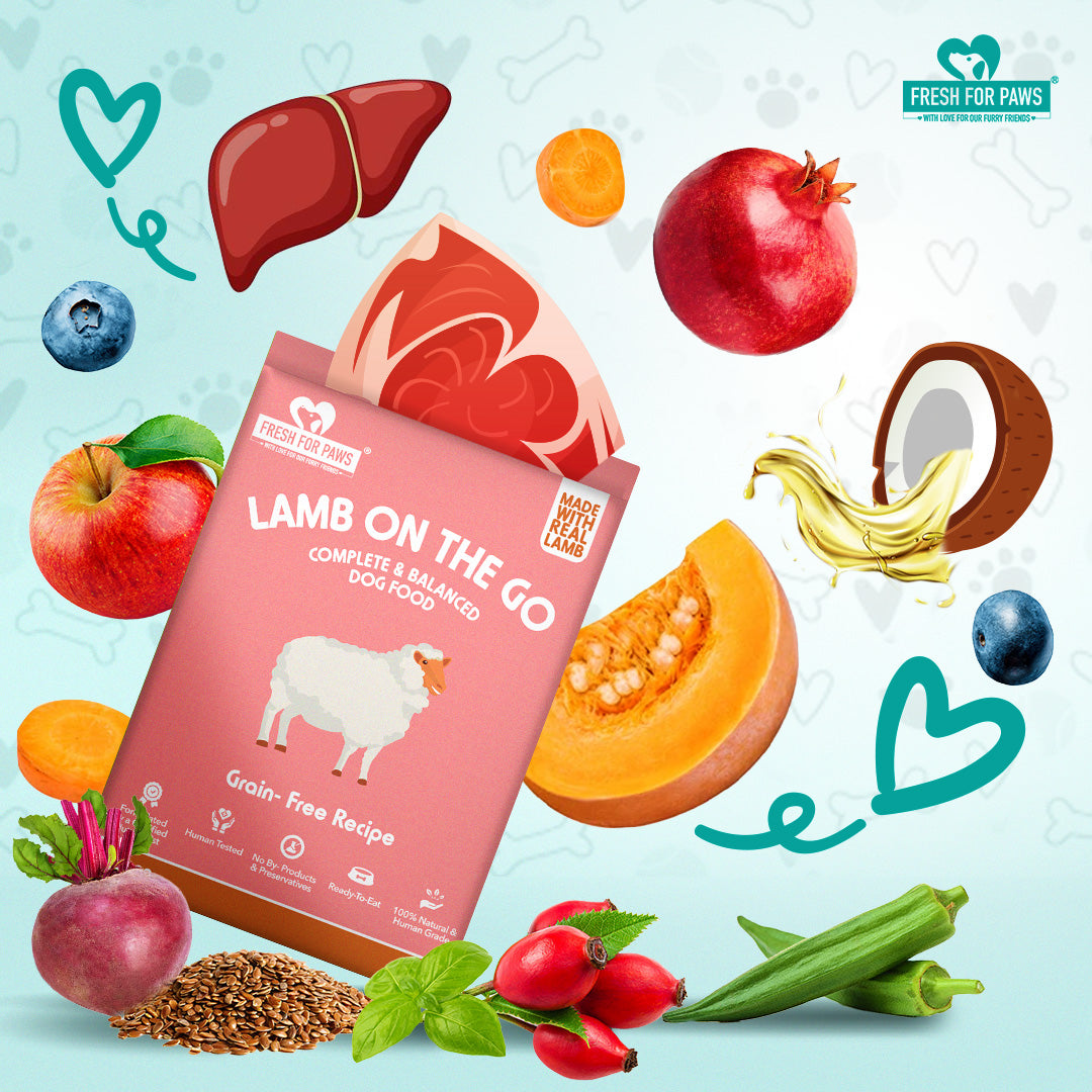 Lamb On The Go: Fresh Food by Fresh For Paws – image 2