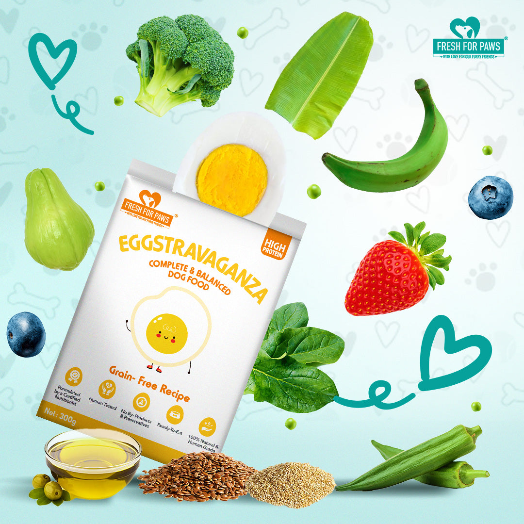 Eggstravaganza: Fresh Food by Fresh For Paws – image 2