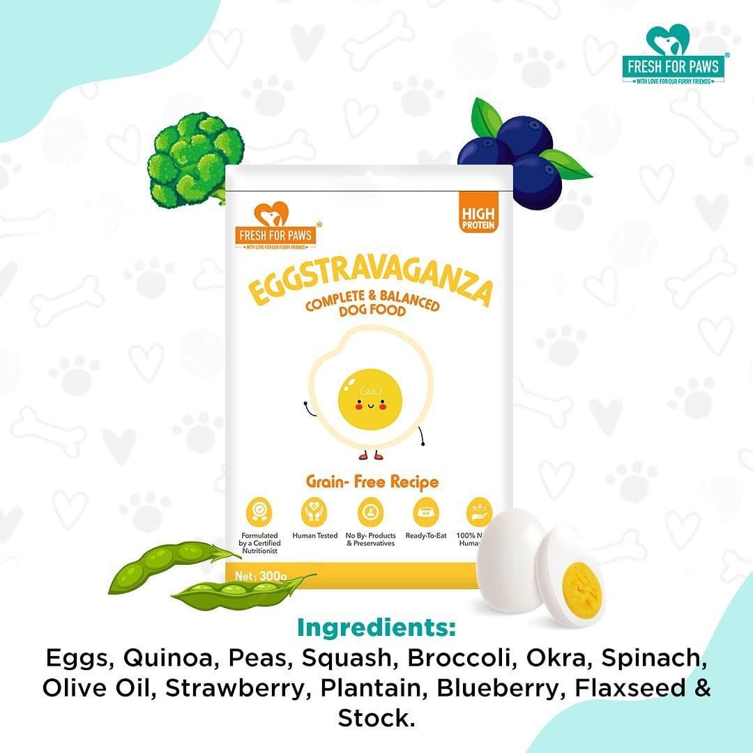 Eggstravaganza: Fresh Food by Fresh For Paws – image 3