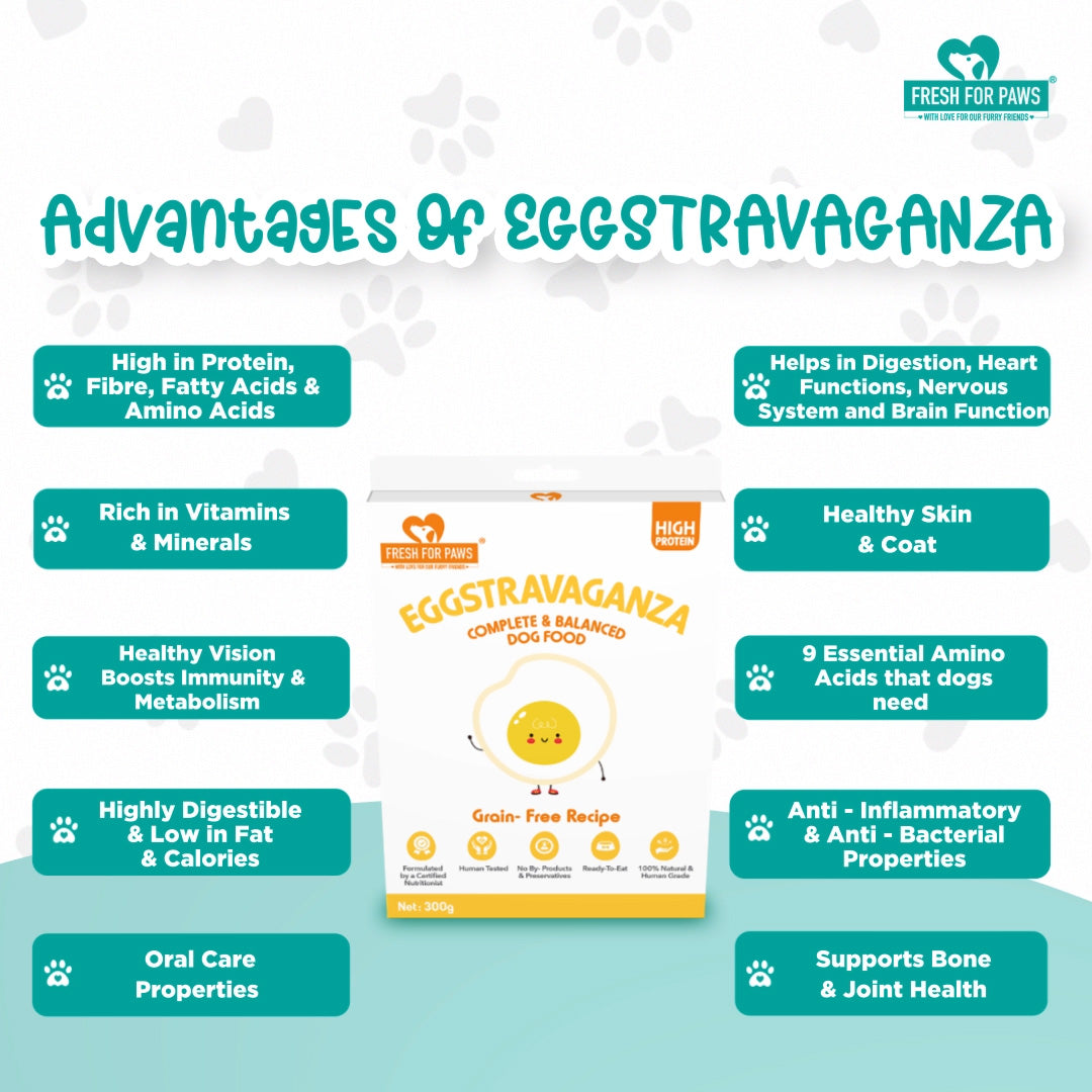 Eggstravaganza: Fresh Food by Fresh For Paws – image 4
