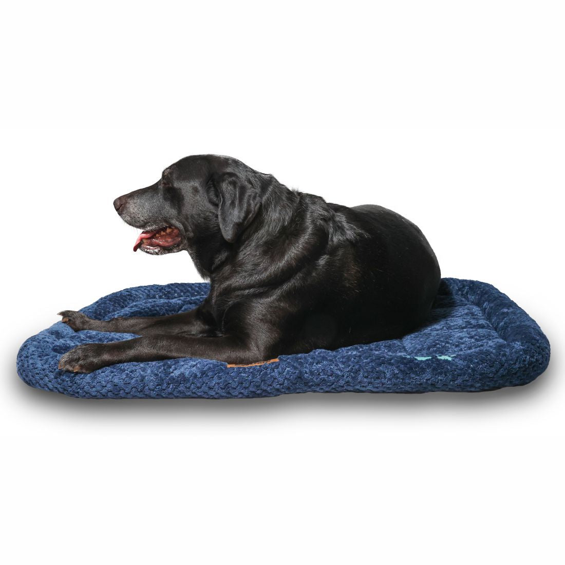 Petter World All Weather Ultra Soft Dog Mat with Padded Perimeters for Head & Jaw Support, Ensign Blue – image 2