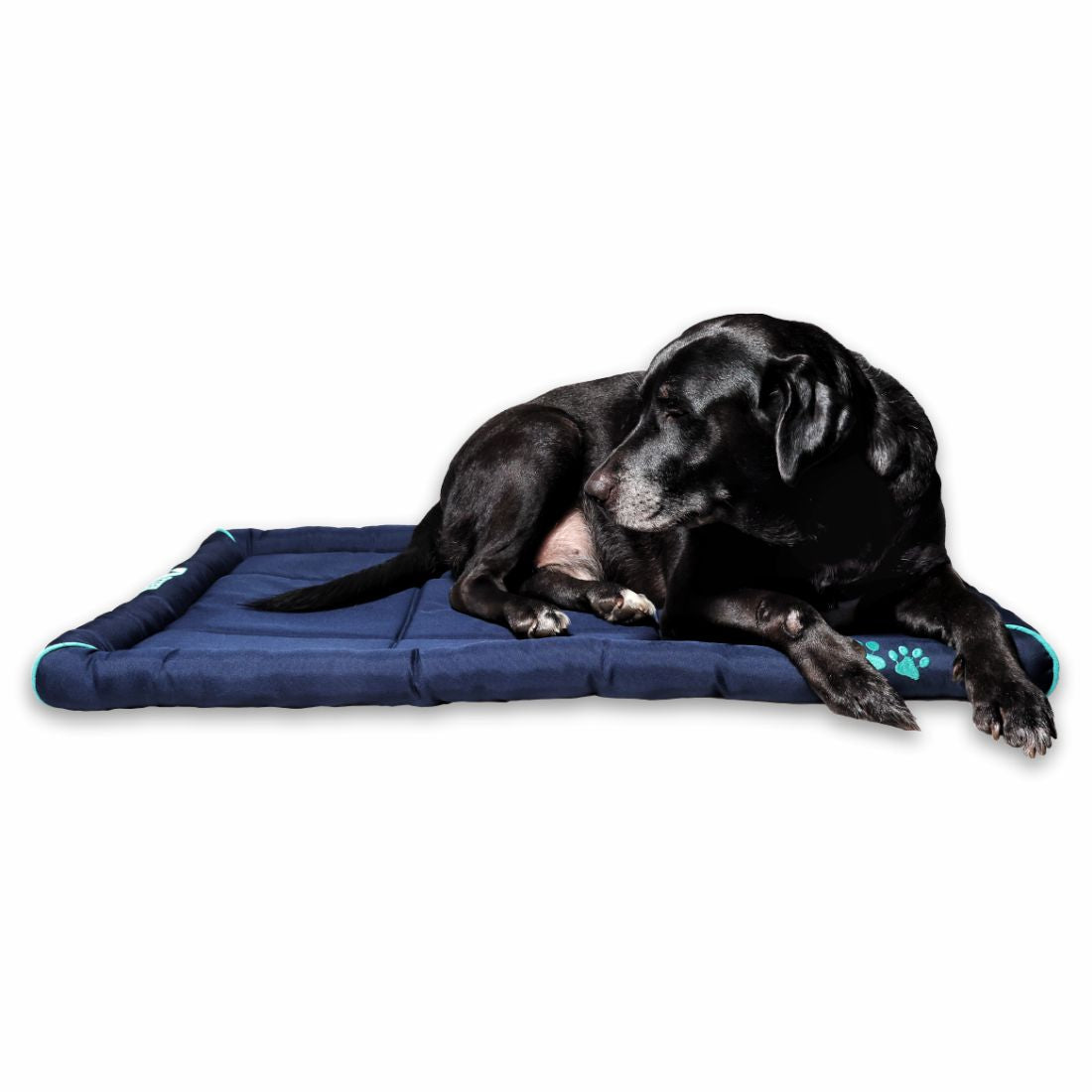 Petter World Waterproof Dog Mat with Padded Perimeters for Head & Paw Support – image 2