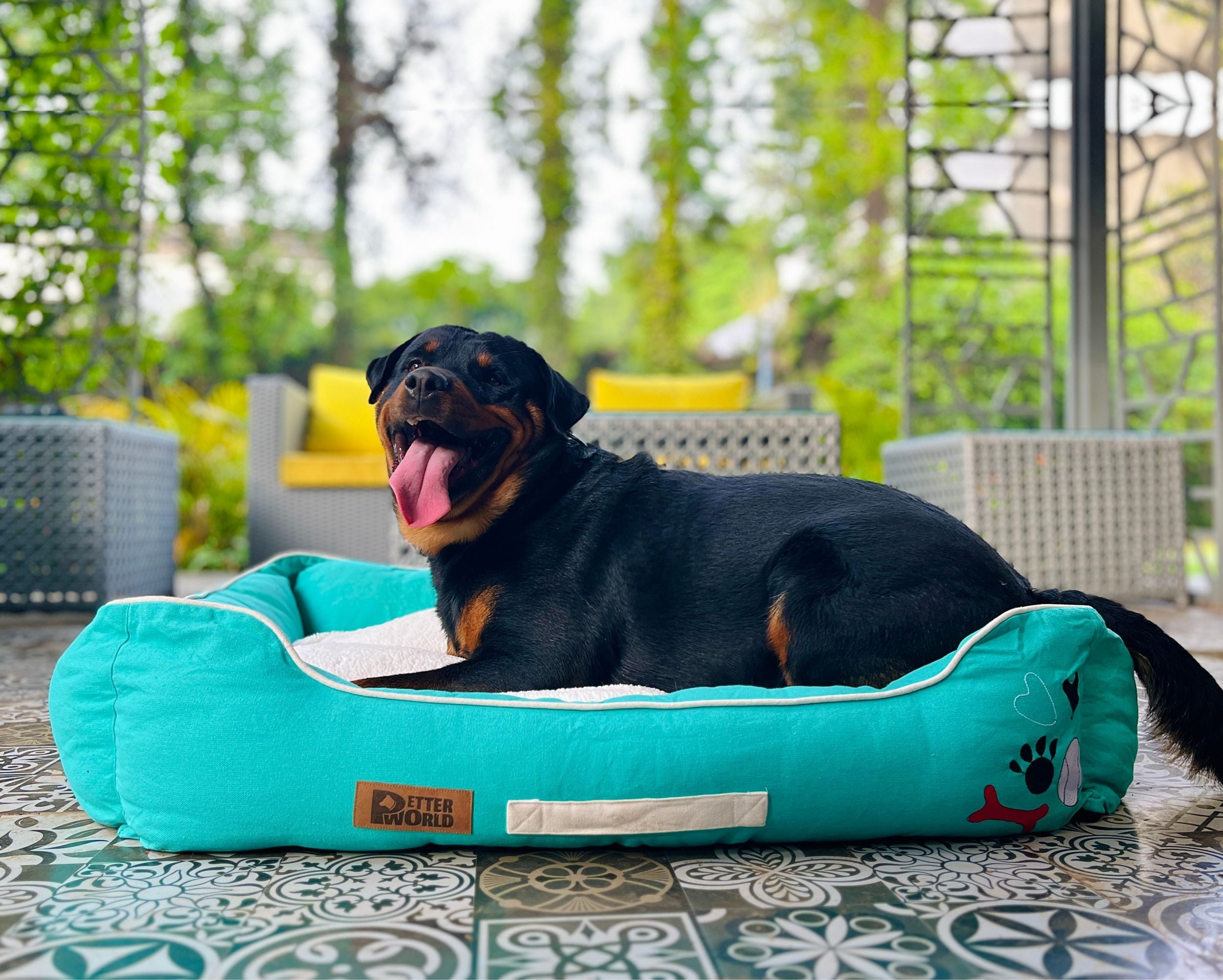 Petter World Luxury Turquoise Lounger Bed with Removable Cushion – image 3