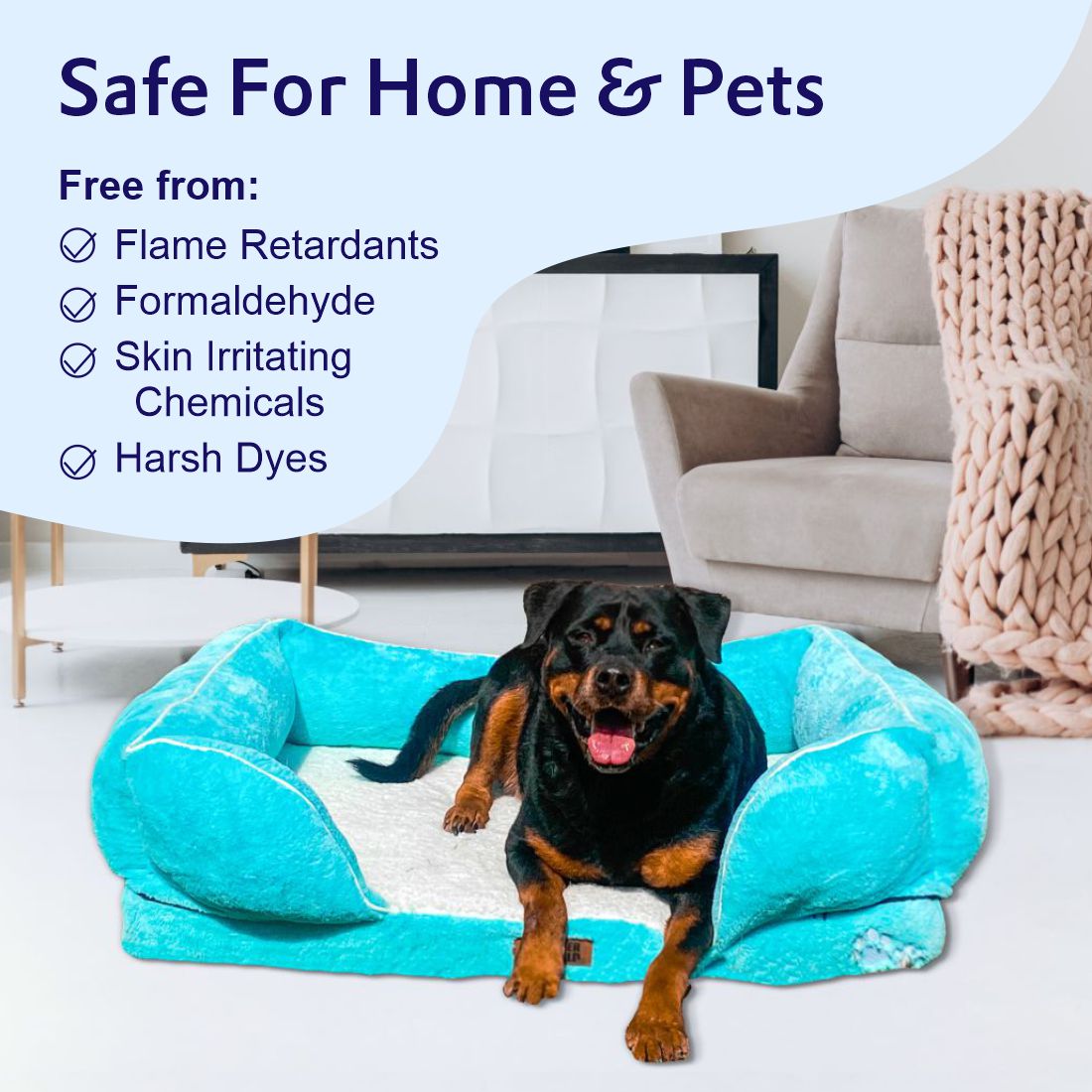 Petter World Orthopedic Foam Sofa Bed - Turquoise – image 10