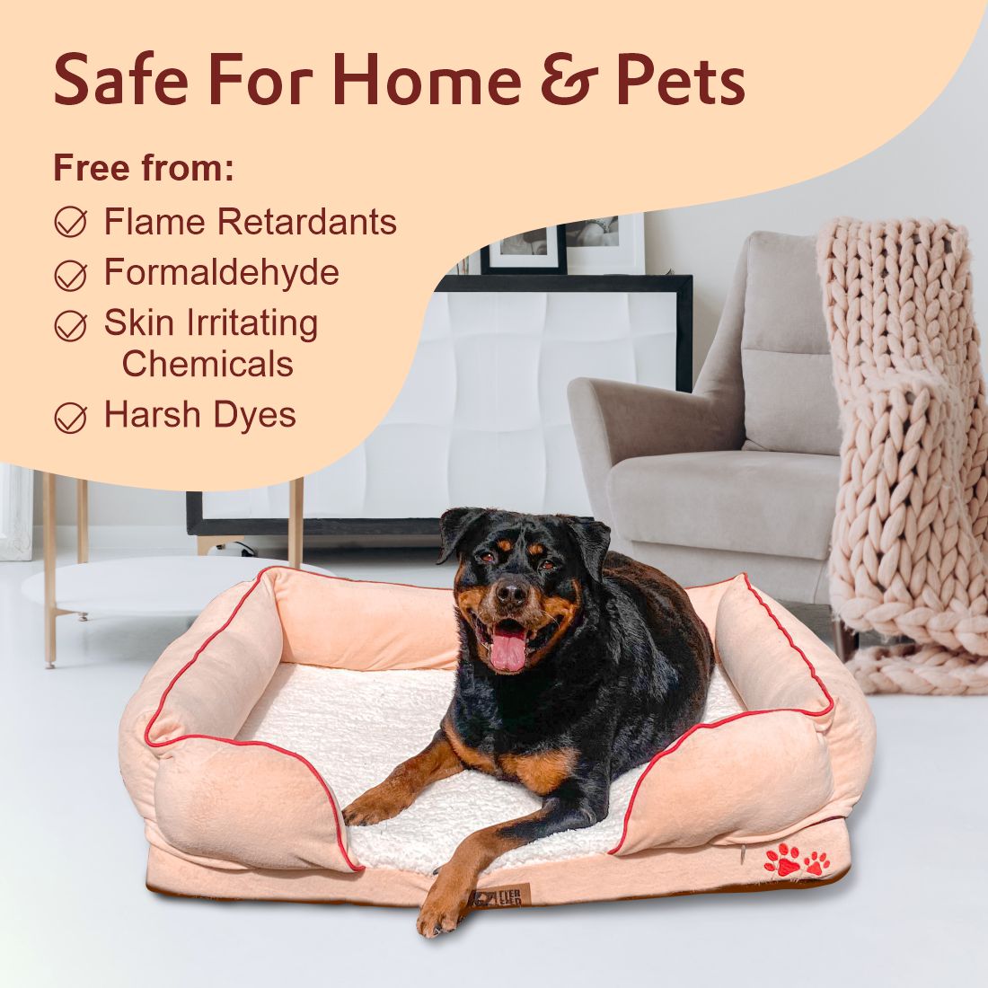 Petter World Orthopedic Foam Sofa Bed - Peach Pearl – image 11
