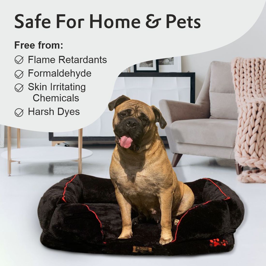Petter World Orthopedic Foam Sofa Bed - Jet Black – image 11