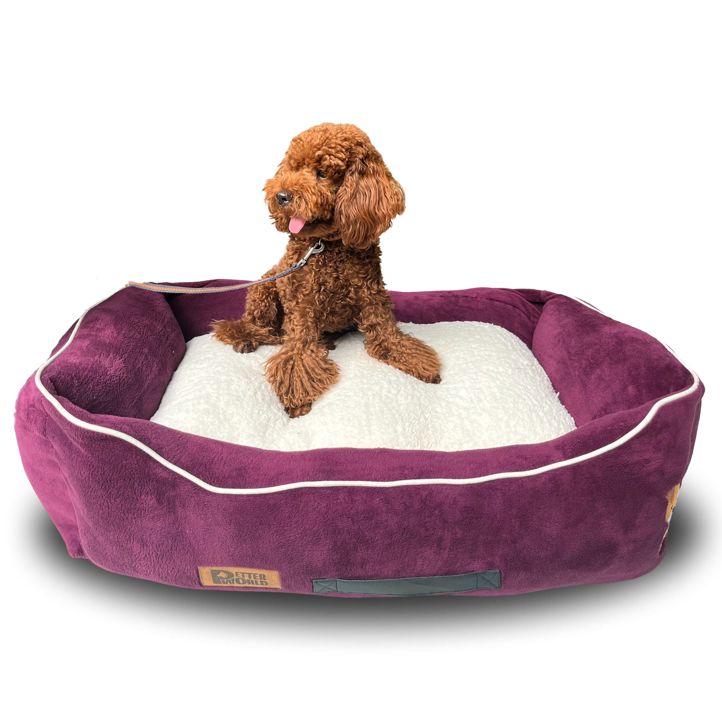 Petter World Luxury Mulled Wine Lounger Bed with Removable Cushion – image 8