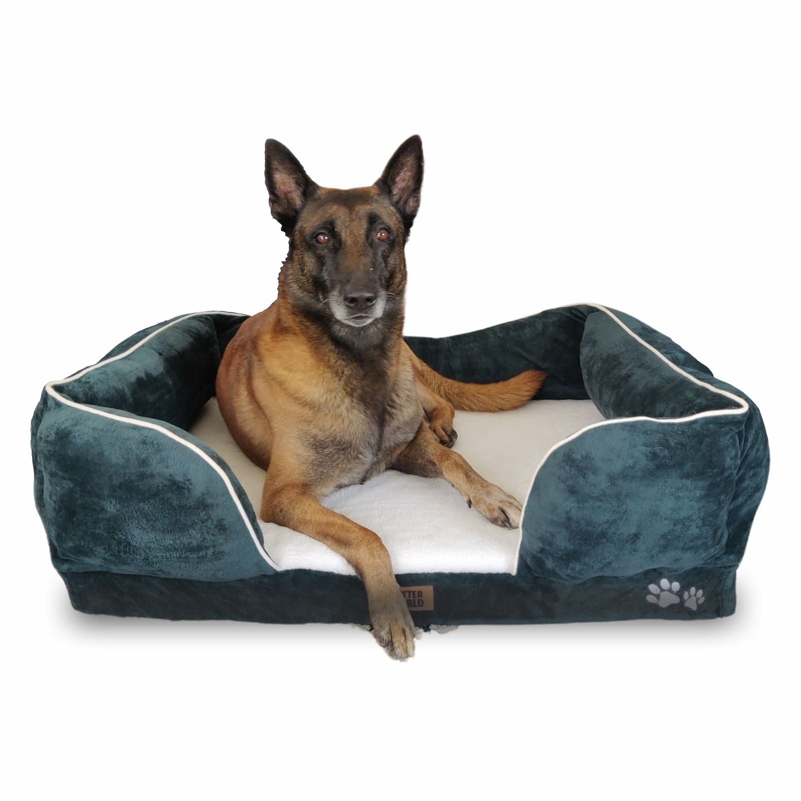 Petter World Orthopedic Foam Sofa Bed - Bottle Green – image 2