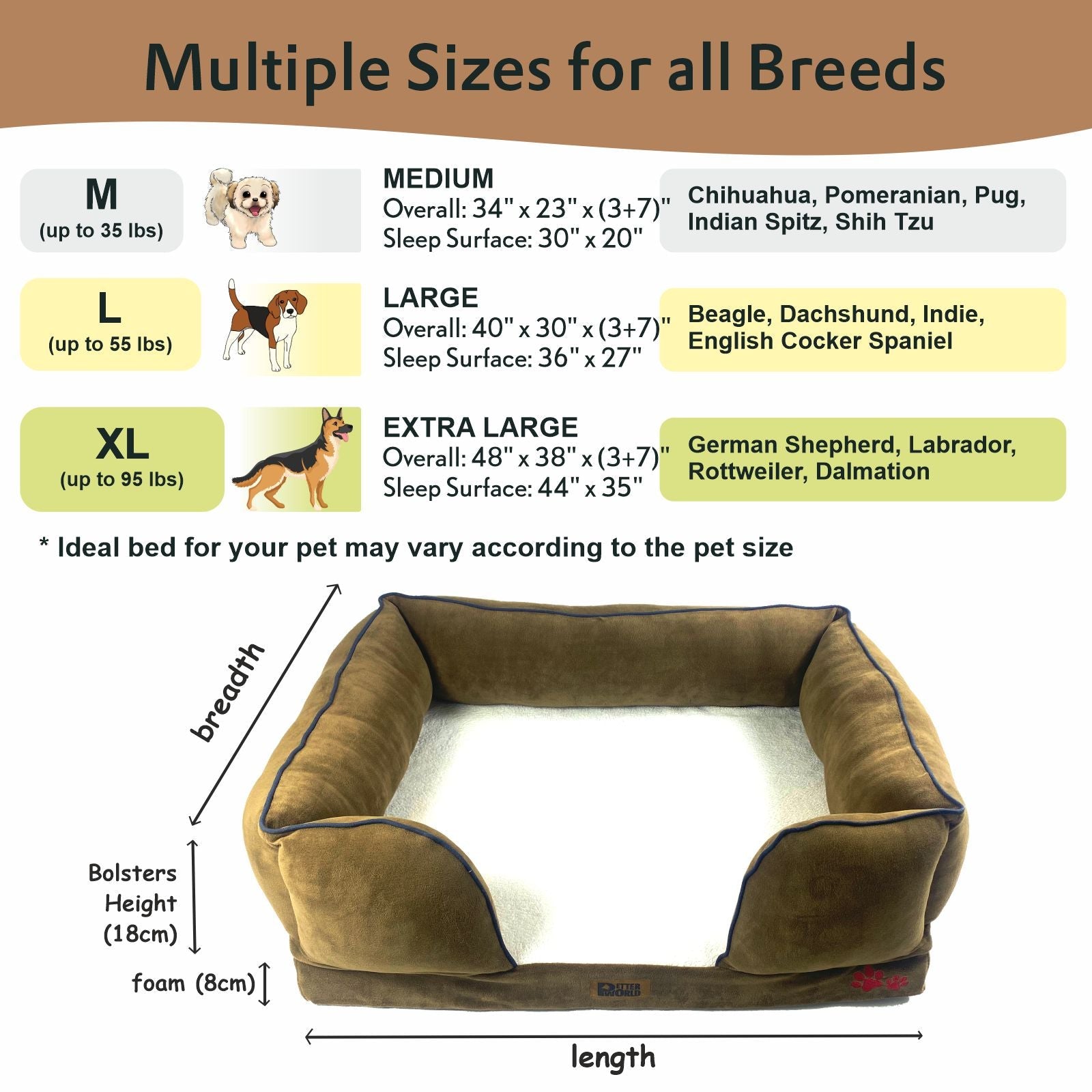Petter World Orthopedic Foam Sofa Bed - Mocha Brown – image 5