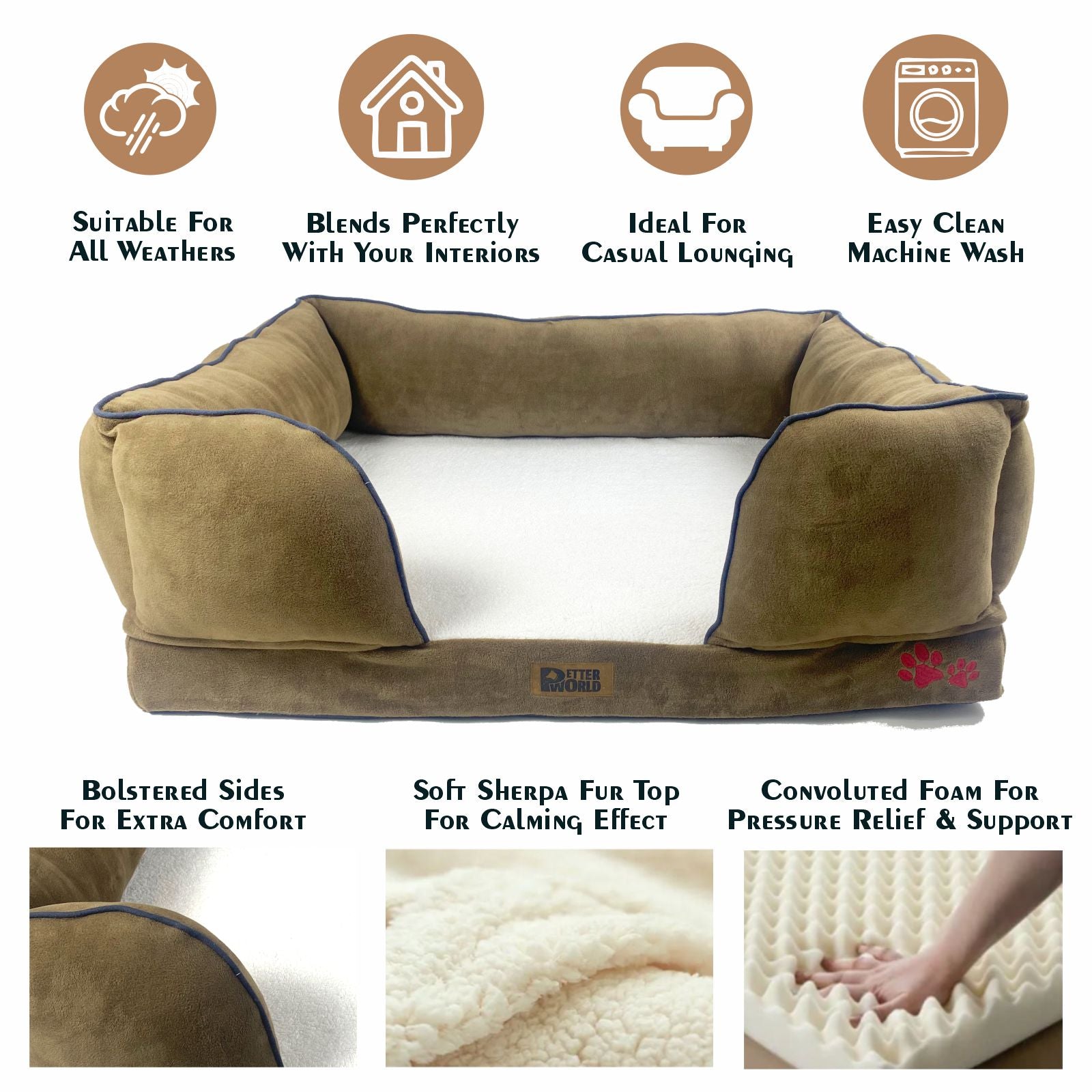 Petter World Orthopedic Foam Sofa Bed - Mocha Brown – image 4