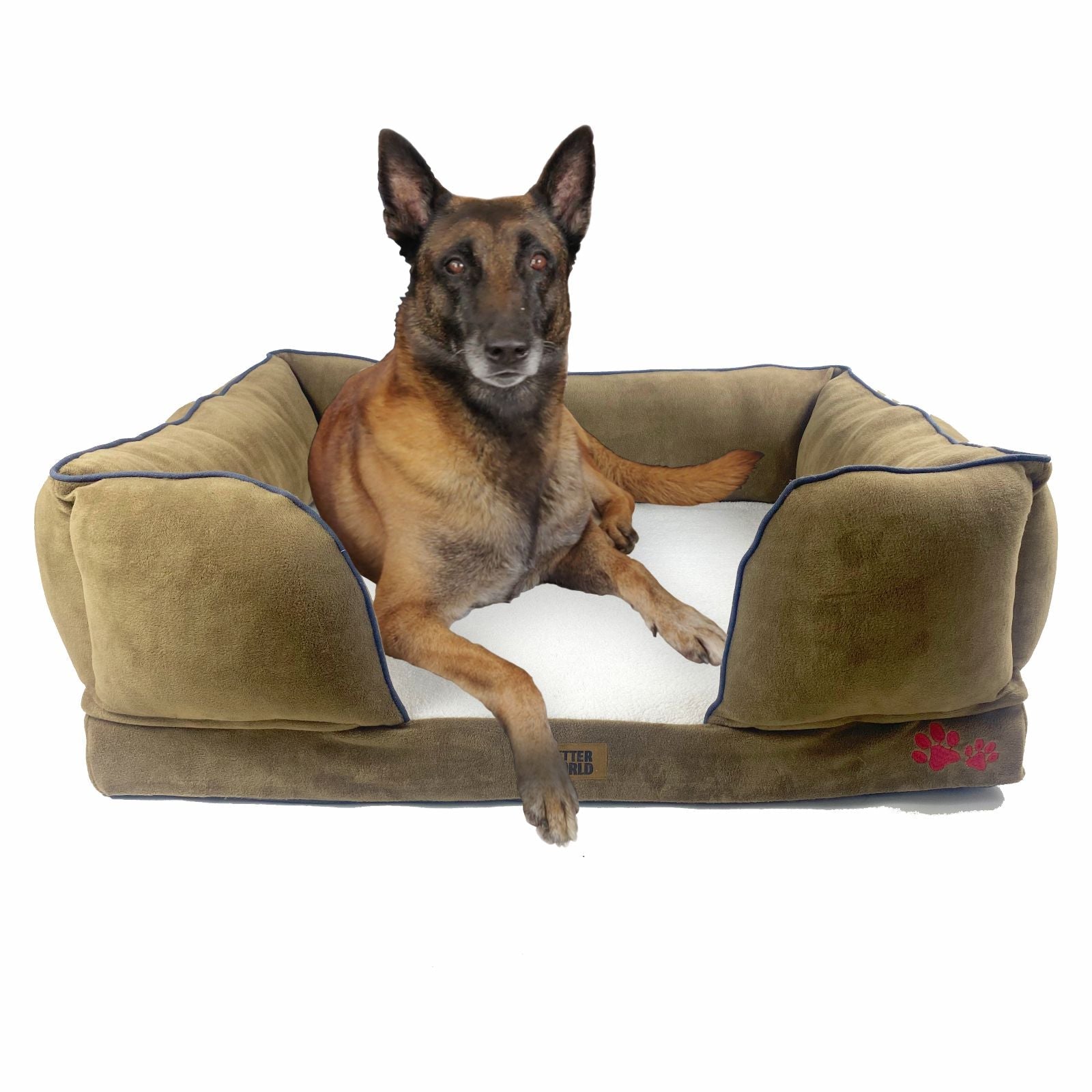 Petter World Orthopedic Foam Sofa Bed - Mocha Brown – image 9