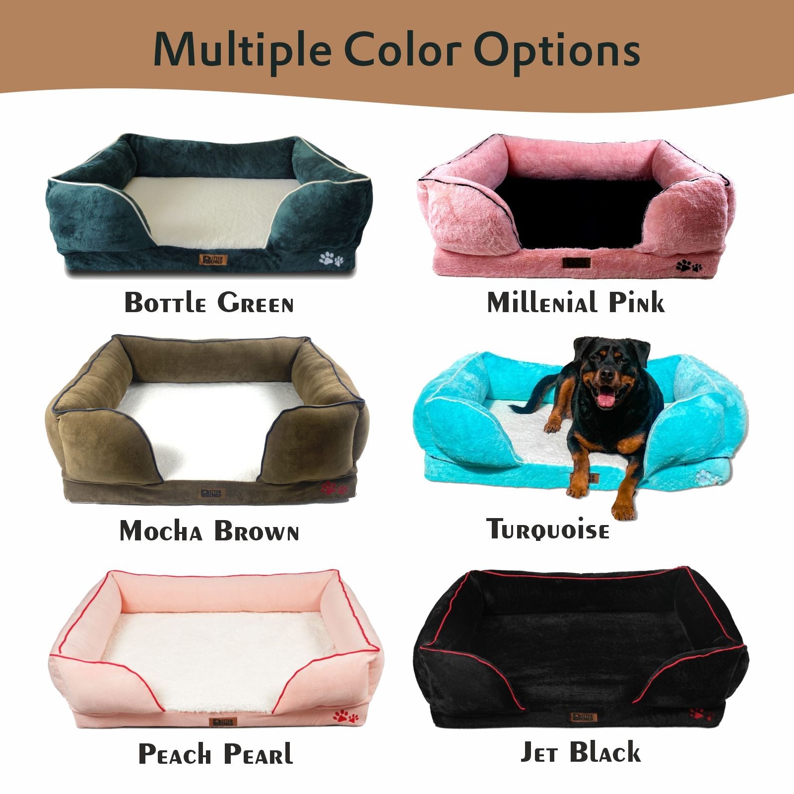 Petter World Orthopedic Foam Sofa Bed - Mocha Brown – image 6