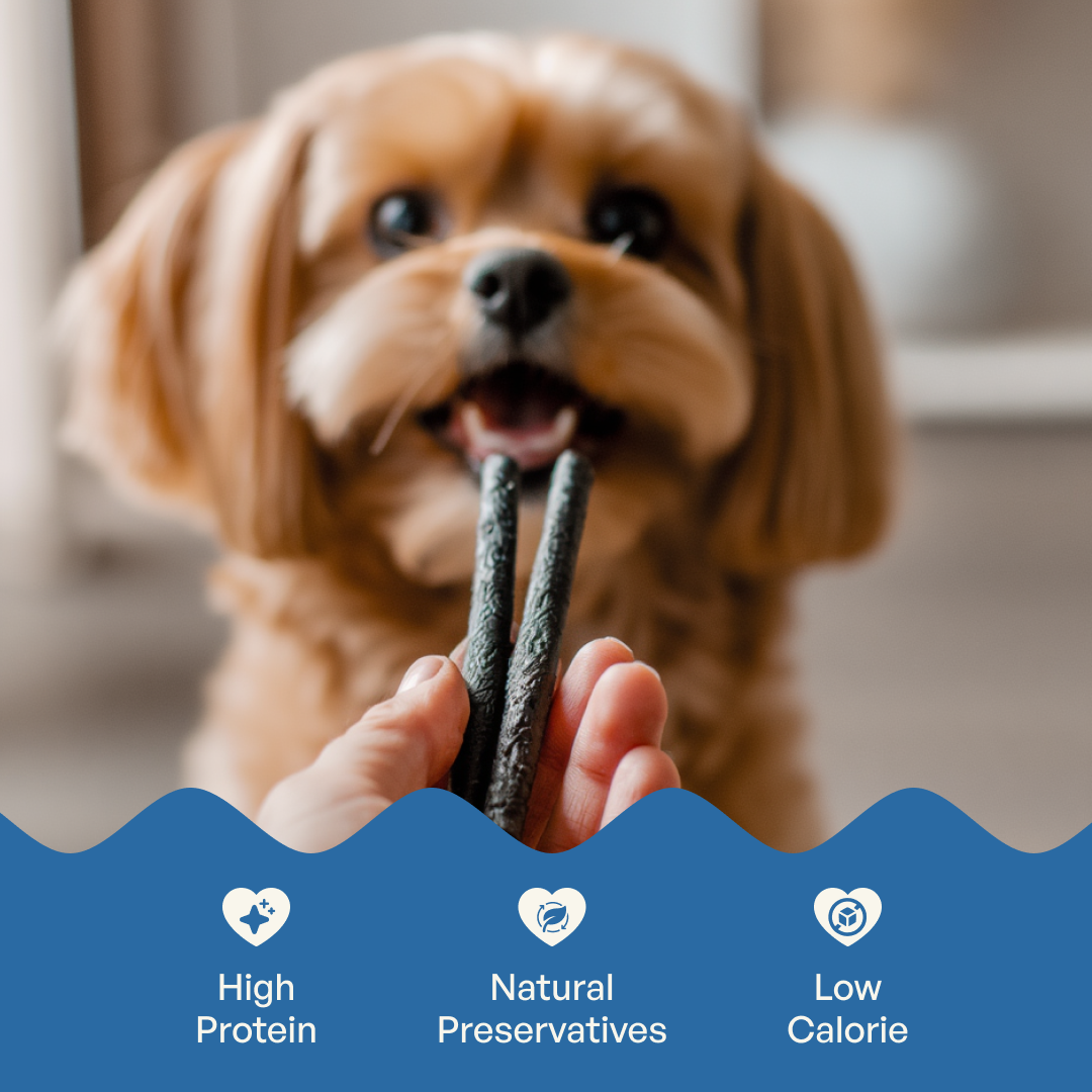 Sploot Chicken and Blueberry Soft Sticks – image 4