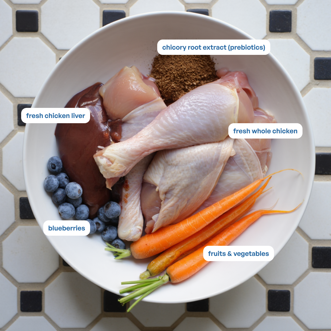 Sploot Chicken and Blueberry Soft Sticks – image 2