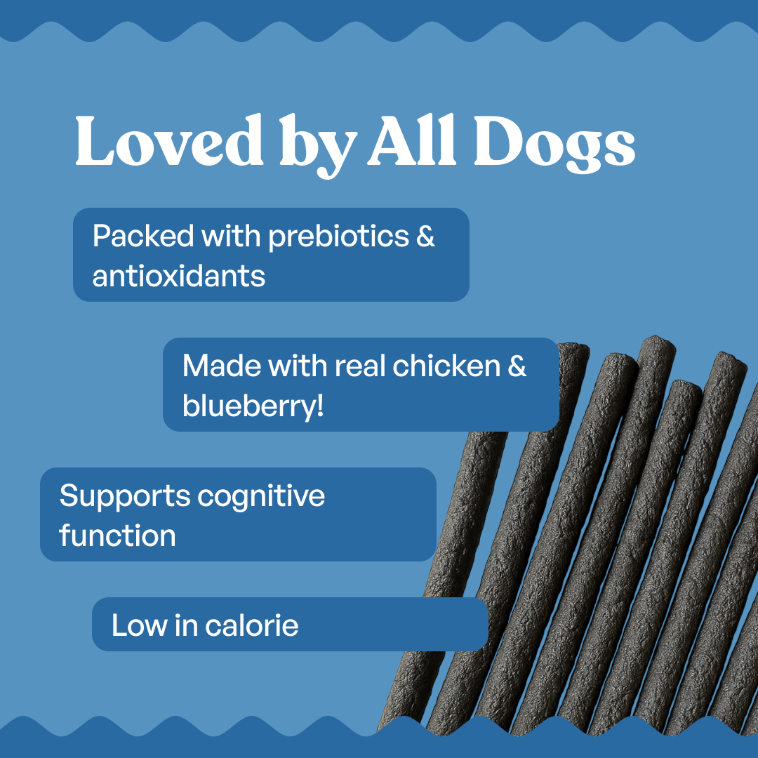Sploot Chicken and Blueberry Soft Sticks – image 5