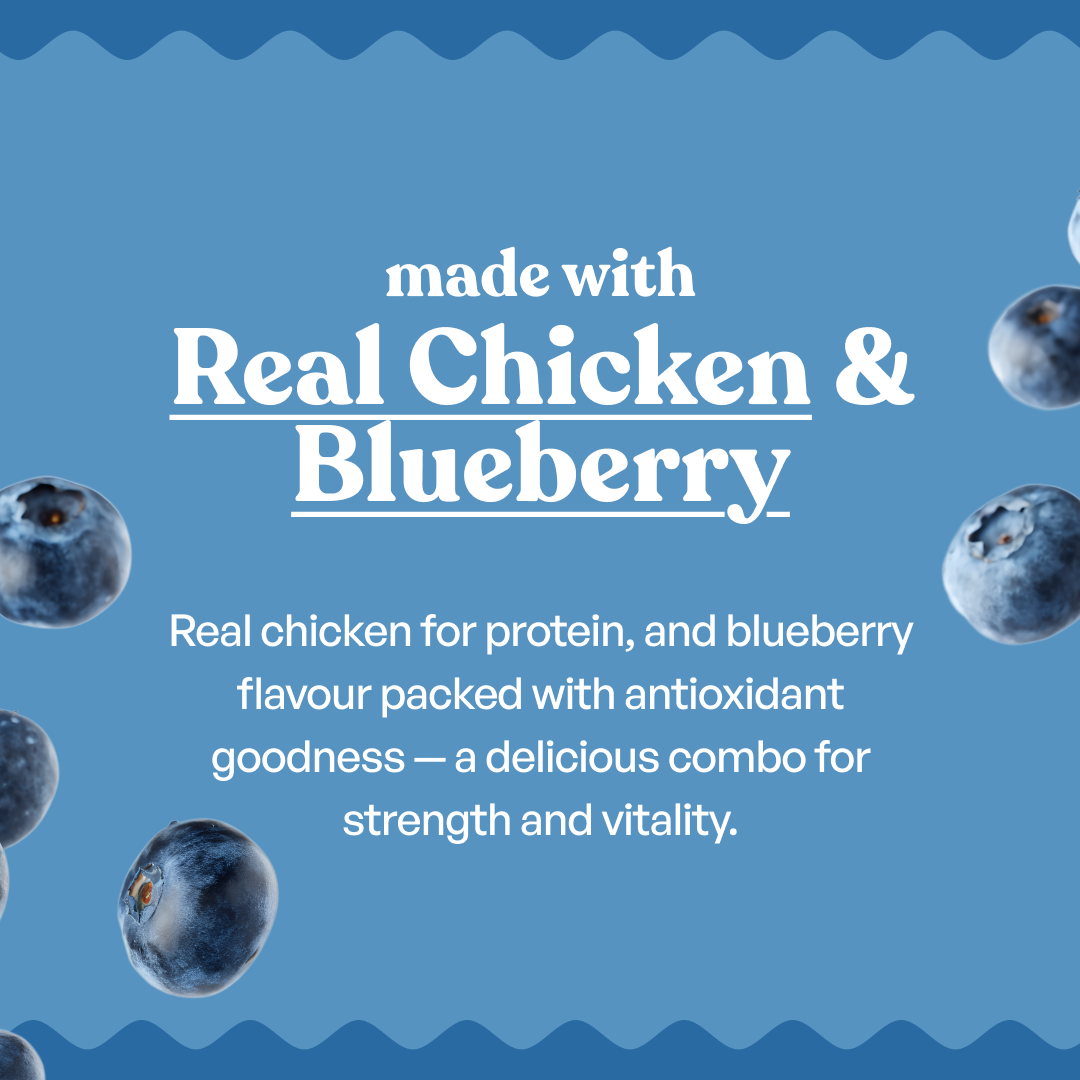 Sploot Chicken and Blueberry Soft Sticks – image 3
